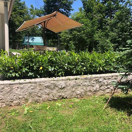 Mountain house Ivanova Korita Cetinje Buitenkant foto