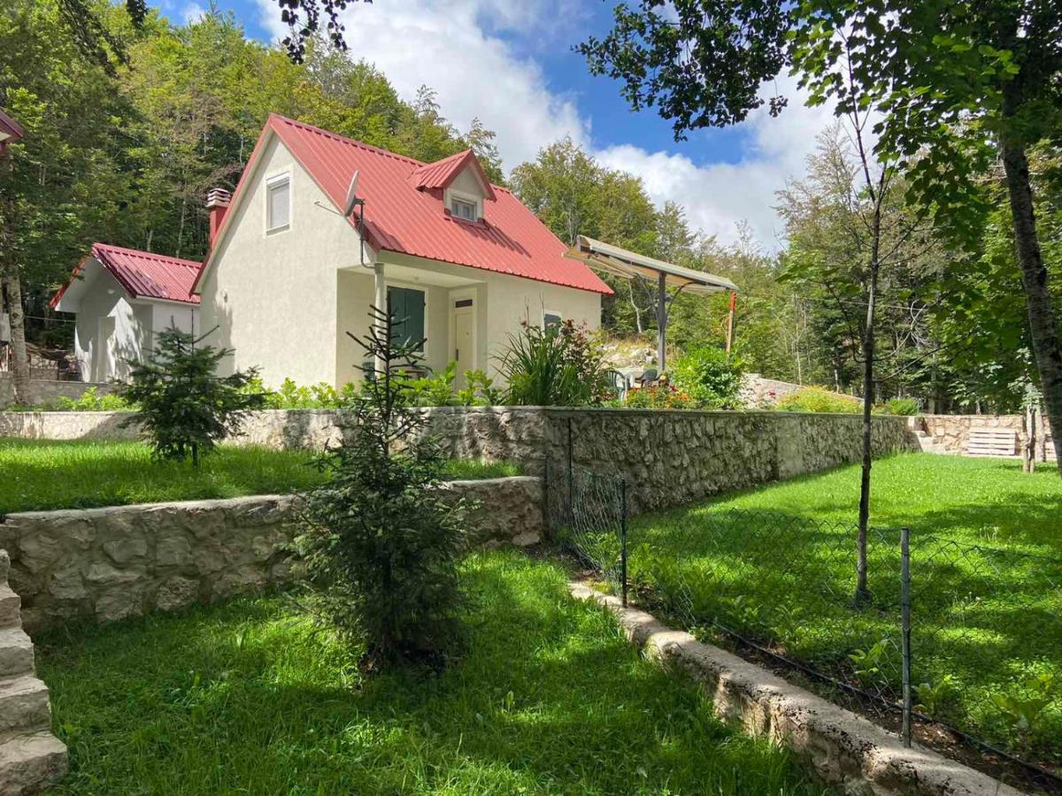Mountain house Ivanova Korita Cetinje Buitenkant foto